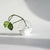Splash Bottom Softie Bud Vase