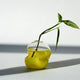 Splash Bottom Softie Bud Vase