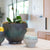 Jaishi Small Vase