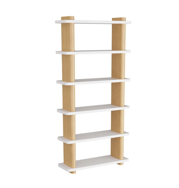 Triton Bookshelf