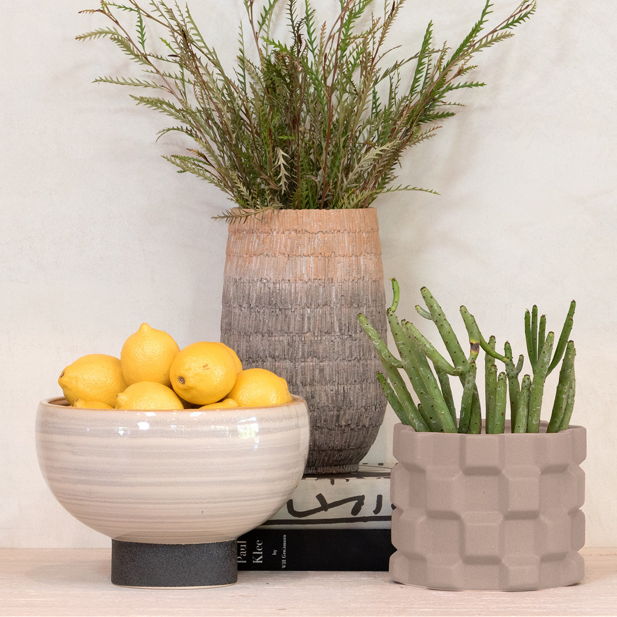 Tumisa Bowl Planters - Set 2