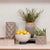 Tumisa Bowl Planters - Set 2