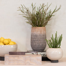 Tumisa Bowl Planters - Set 2