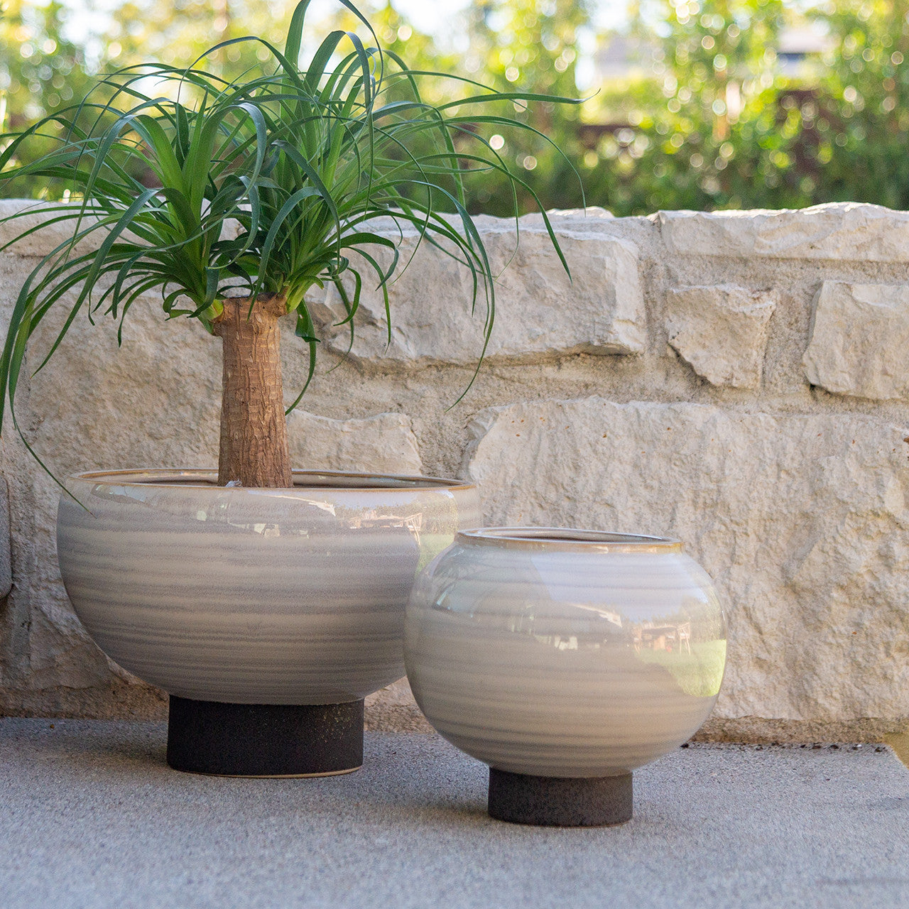 Tumisa Bowl Planters - Set 2