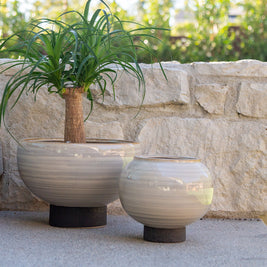 Tumisa Bowl Planters - Set 2