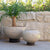 Tumisa Bowl Planters - Set 2