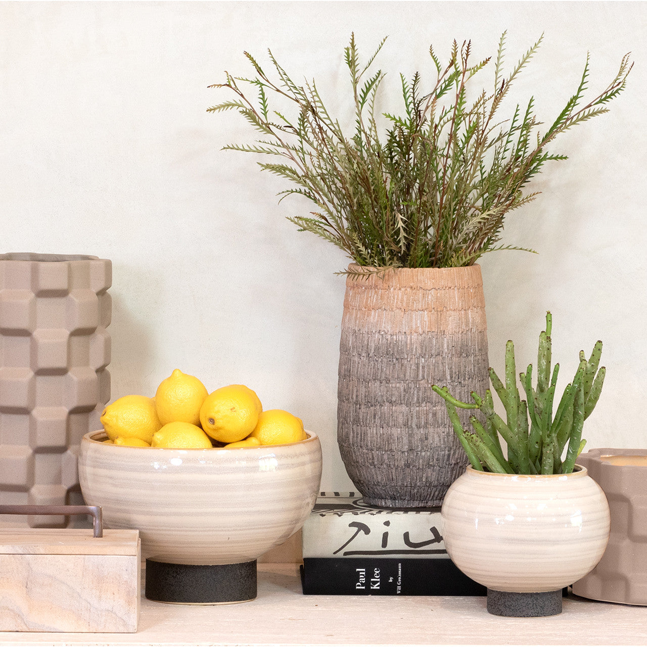 Tumisa Bowl Planters - Set 2