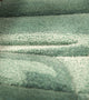 Algua
