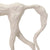 Doublet Statuary