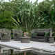 Palma Coffee Table