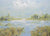 Marsh Land