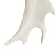 Jackson Sconce