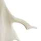 Jackson Sconce