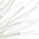 Finch Chandelier