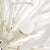 Finch Chandelier