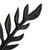 Fern