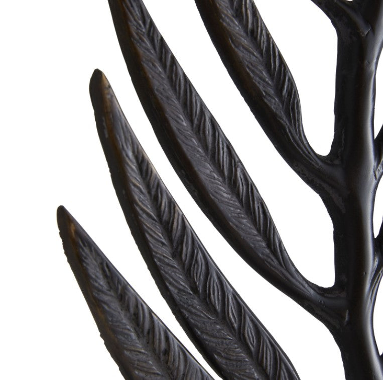 Fern