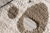 Bear Rug