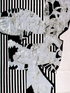 Zebra Collage