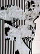 Zebra Collage