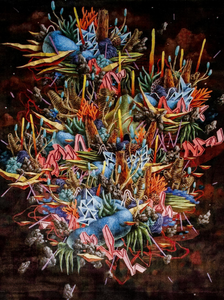 Nemo
