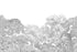 Bellewood, Grey Toile