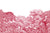 Bellewood, Crimson Toile