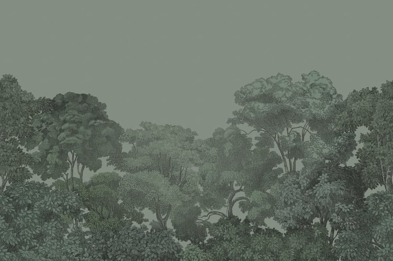 Bellewood, Solid Green