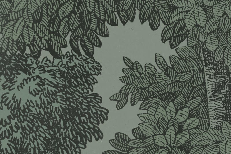 Bellewood, Solid Green