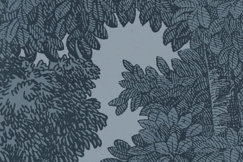 Bellewood, Solid Blue