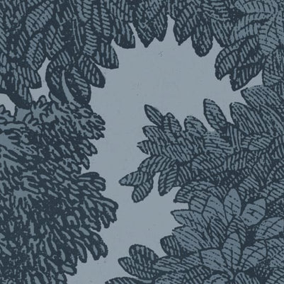 Bellewood, Solid Blue