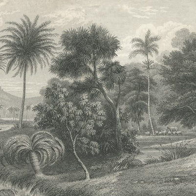 Jungle Land, Vintage