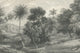 Jungle Land, Vintage
