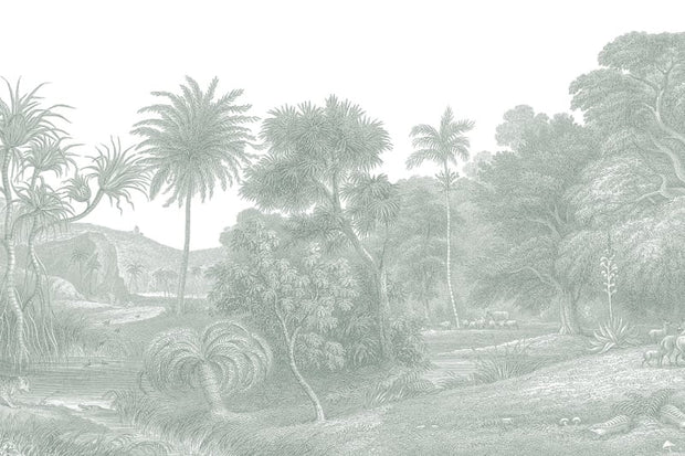 Jungle Land, Verdant