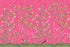 Chinoiserie Chic, Fuchsia