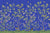 Chinoiserie Chic, Cobalt
