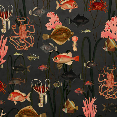 Aquatic Life, Shadows