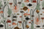 Aquatic Life