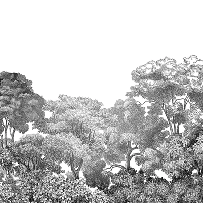 Bellewood, Black Toile