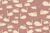Cygne, Rose