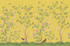 Chinoiserie Chic, Saffron