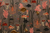 Aquatic Life, Coral