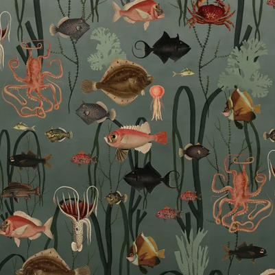 Aquatic Life, Oxygen